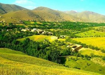 “A 17 year_old girl committed suicide after marriage” Local sources said in Daikundi.