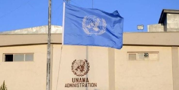 The Shocking Report of the 10-month Takeover of the Taliban Was Released by the United Nations