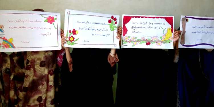 WhatsApp Image 2022-08-10 at 4.12.38 AM (1)