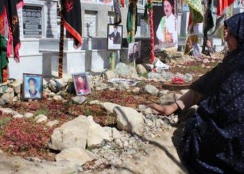 We Do Not Expect the Taliban to Protect People