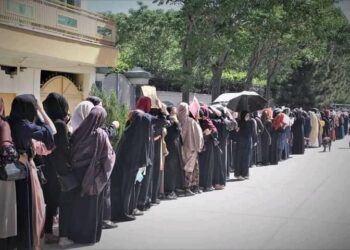 Chaos and Violence in the Passport Office