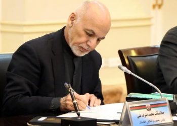 شورای عالی زنان چه خواهد کرد؟