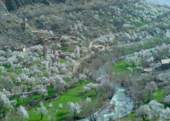 دایکندی، تیرهای پدر، تن ساره 15 ساله را شکافت