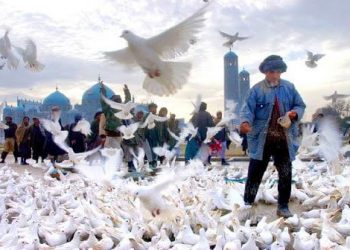 روزشمار صلح – هفته سوم دلو 1399