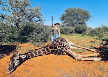 زنان در هفته‌ای که گذشت – هفته اول حوت 1399