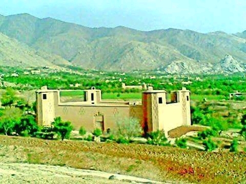 خودکشی یک دختر جوان در مرکز دایکندی 1 خودکشی یک دختر جوان در مرکز دایکندی خودکشی یک دختر جوان در مرکز دایکندی