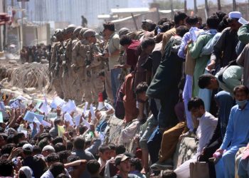 طالبان ما را آواره کرد