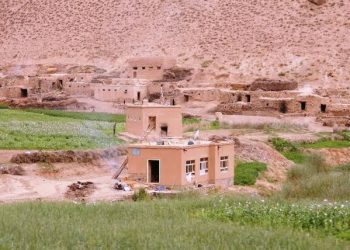 طالبان دو زن و دو مرد را در غور به رگبار بستند