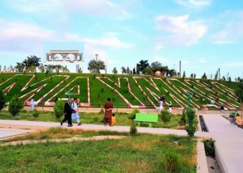 یک زن باردار در فاریاب توسط شوهرش کشته شد