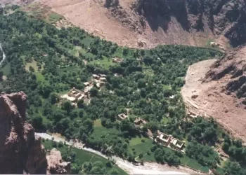 یک دختر ۱۹ ساله در ارزگان با خوردن زهر خودکشی کرد