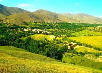 یک دختر ۱۷ ساله در دایکندی پس از ازدواج خودکشی کرد