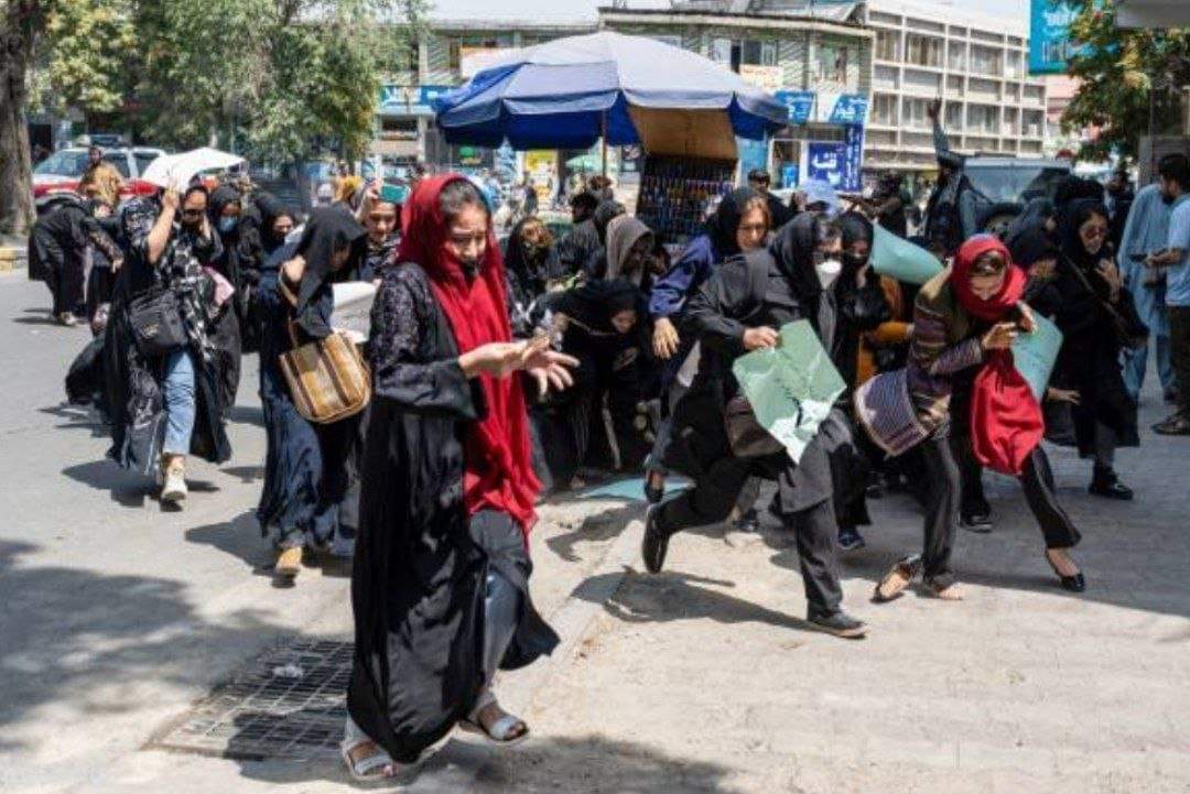 FB_IMG_1660814579974