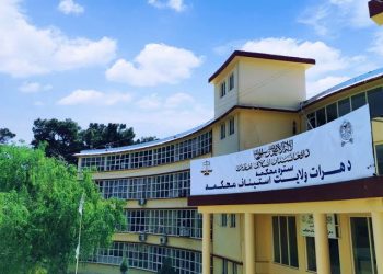 نرخ یک نکاح‌خط به ۶٠٠ دالر امریکایی رسیده است