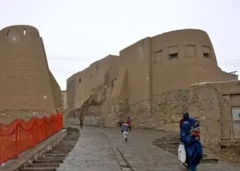 یک زن با چهار فرزندش در غزنی فجیعانه کشته شدند