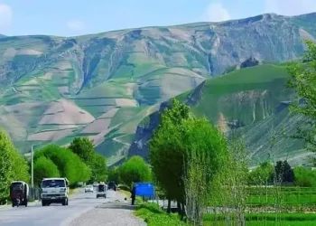 طالبان در تخار یک زن را با ضرب گلوله کشتند