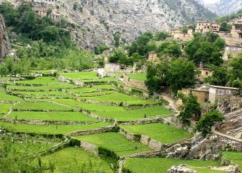 در درگیری خانوادگی در لغمان دو زن کشته شدند