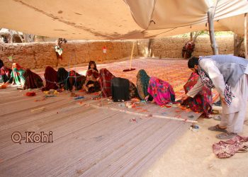 زنان فاریاب «بزرگترین» گلیم‌های دست‌باف جهان را بافتند