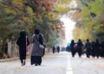 صفورا و بیگم