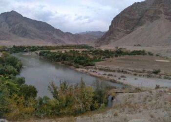 در شهر مردانه‌ی ترینکوت