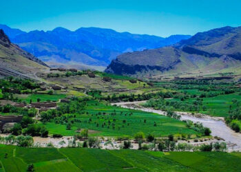 شبی که صنم سر قرار نیامد