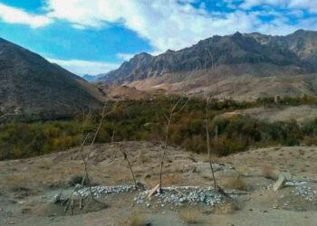 آرامگاه صنوبر