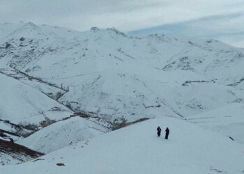 زنی که باربار زندگی می‌سازد