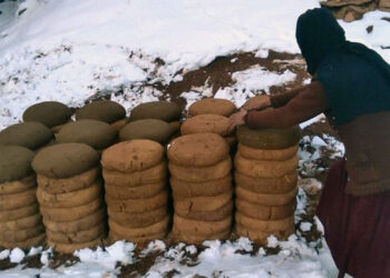 زنان روستایی