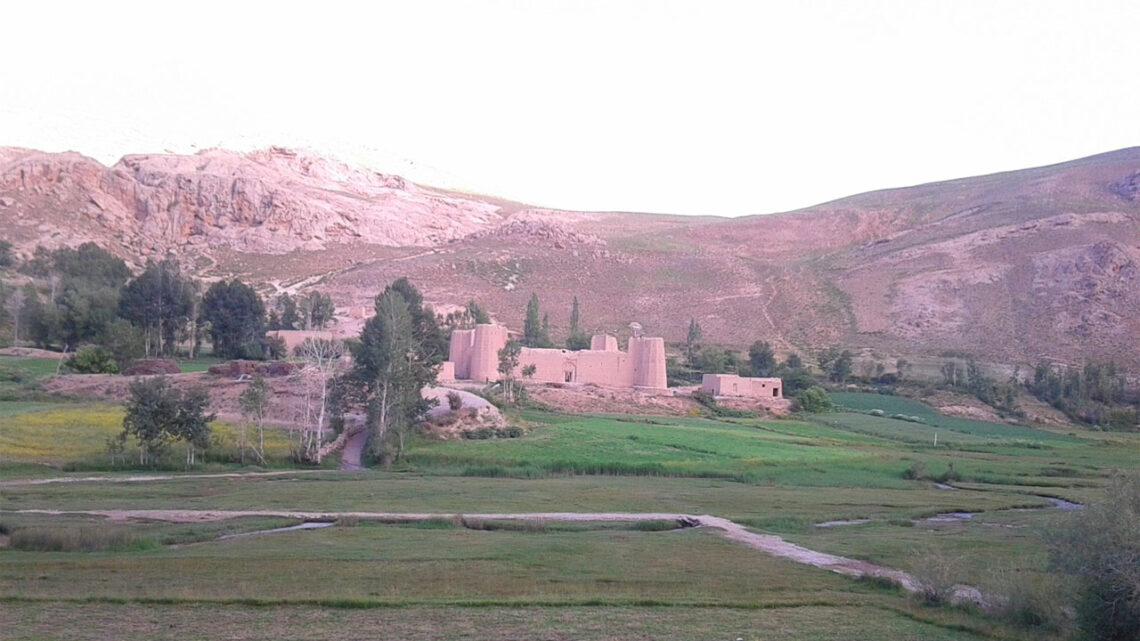 قربانی-بد-دادن