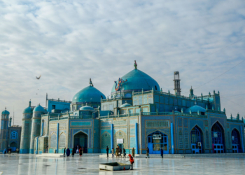 دختر شیرپیره فروش روضه؛ آلاله‌ای روییده روی مخروبه‌های جنگ