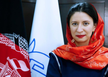 جایزه حقوق بشر به رئیس پیشین کمیسیون حقوق بشر