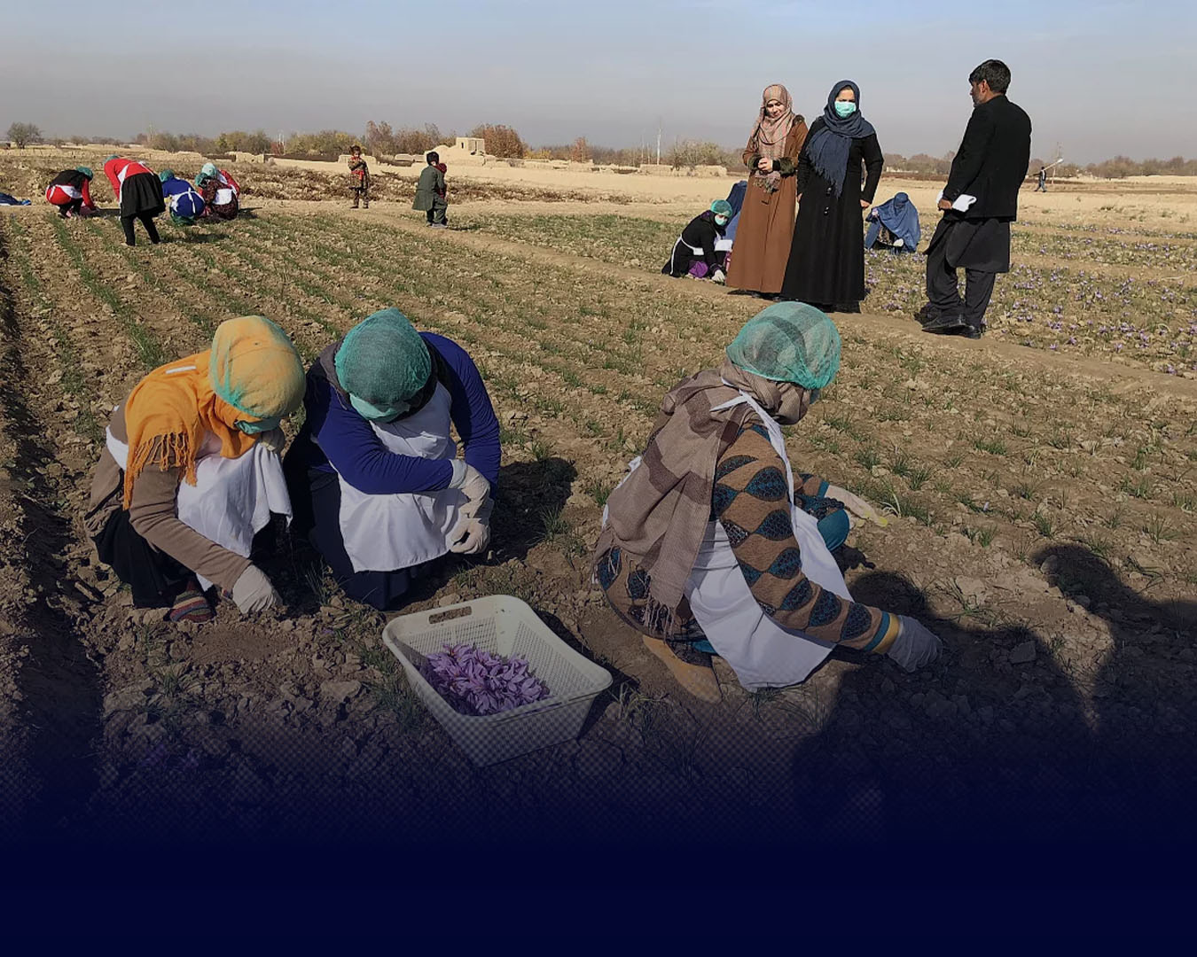 نیمرخ در تبعید