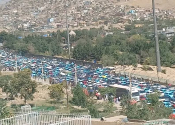 «کرایه نده؛ اما فقط یک ساعت با من باش»